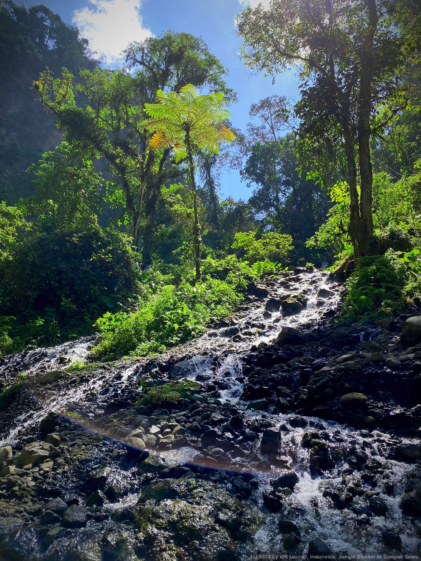 Jungle Stream at Tumpak Sewu in Tumpak Sewu, East Java, Indonesia
