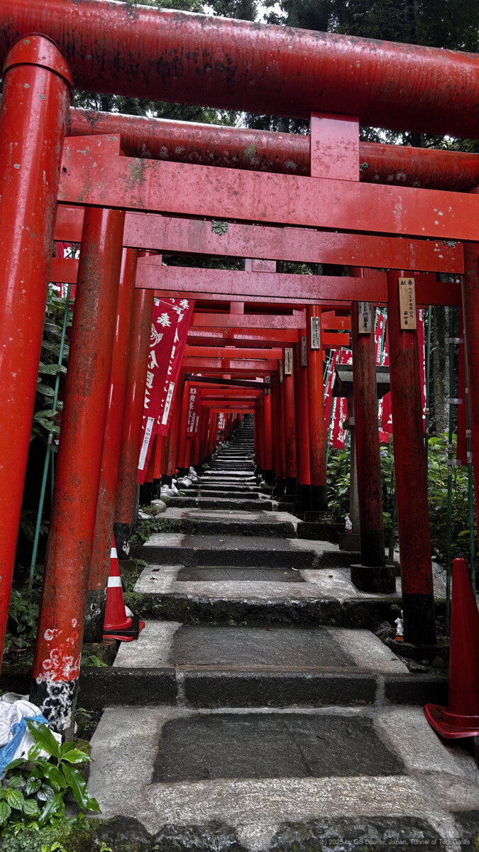 Tunnel of Torii Gates, Japan