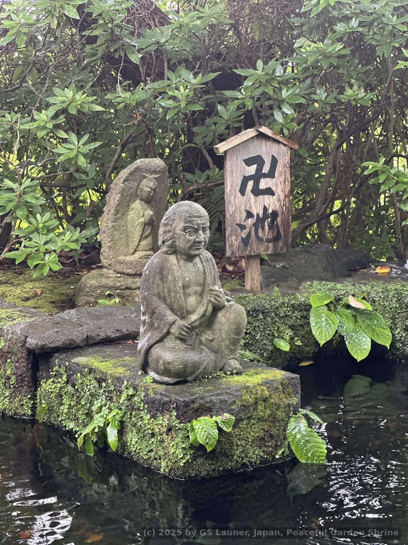 Peaceful Garden Shrine in Kamakura, Japan