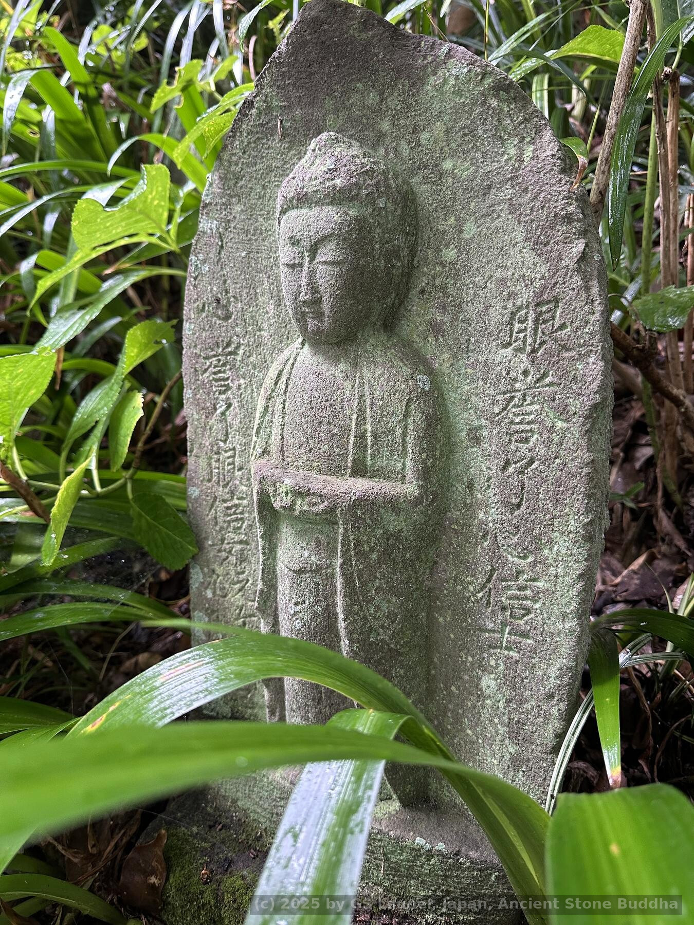 Ancient Stone Buddha in Kamakura, Japan